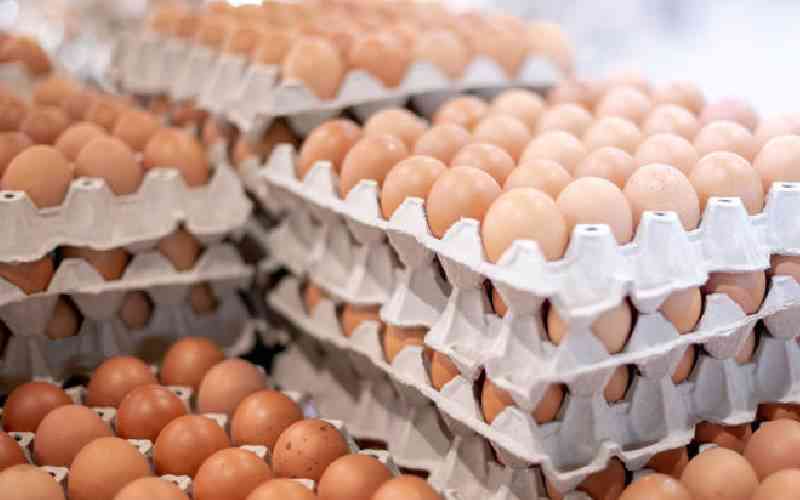Consumers feel the pinch of eggs shortage amid soaring prices