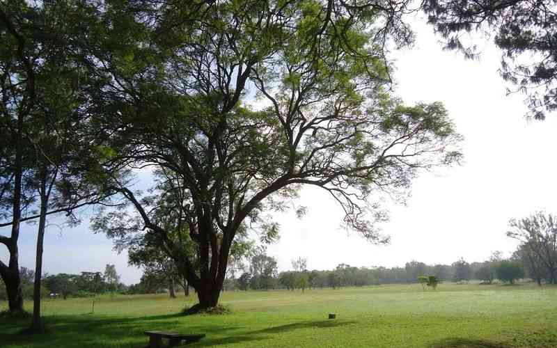 The fatal legal blind spot that cost Kakuzi prime Makuyu golf land