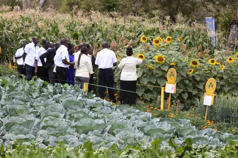 Creating synergy to aid trade in Kenya's Agricultural produce