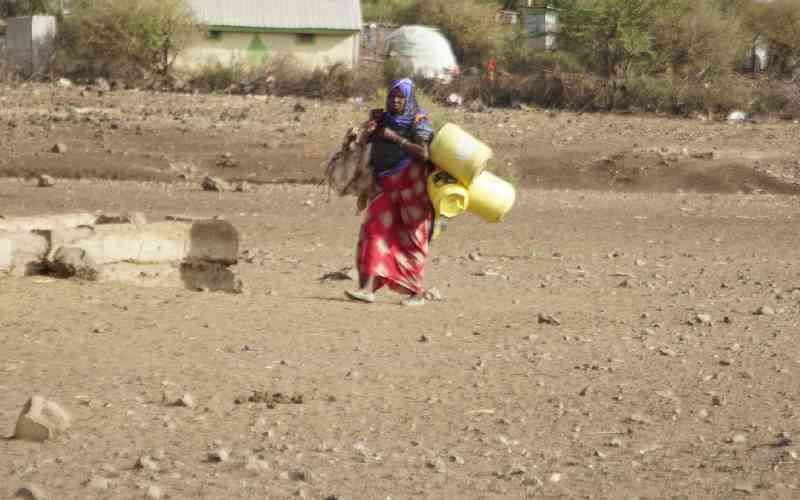 Drought agency fails to curb losses as communities struggle to survive