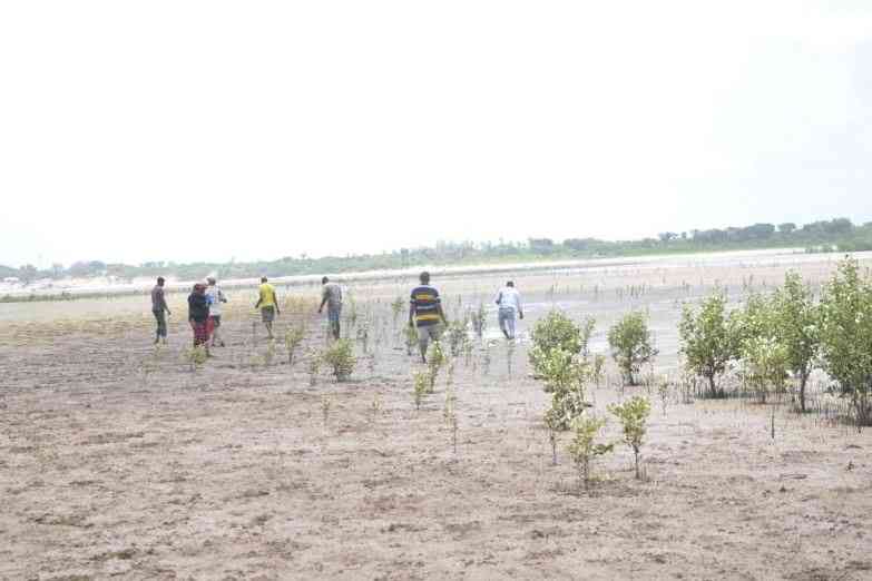 Tana River residents protest alleged grabbing of their ancestral land