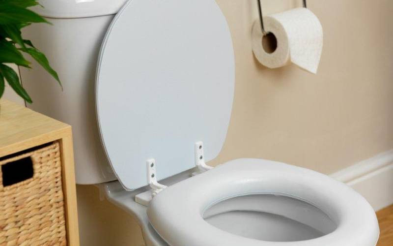 Gut check: Why you should look at your poo before you flush