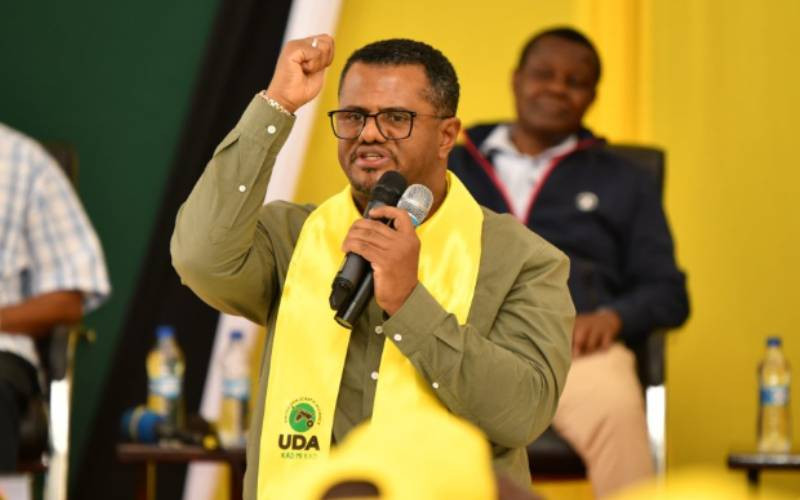 UDA to hold grassroots elections in 20 counties including Nakuru, Kiambu