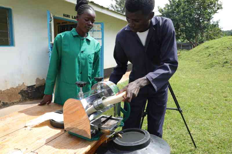 College students innovation converts banana residue into organic fertiliser
