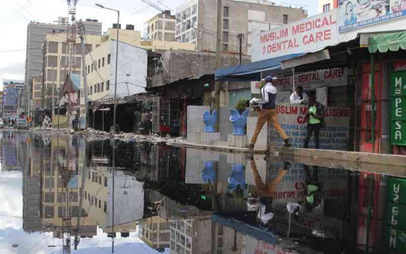 Environment Court declares Eastleigh sewer public infrastructure