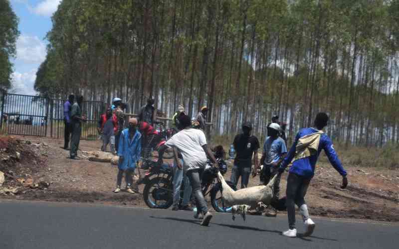 Kenyatta farm raid returns to haunt Mt Kenya region leaders