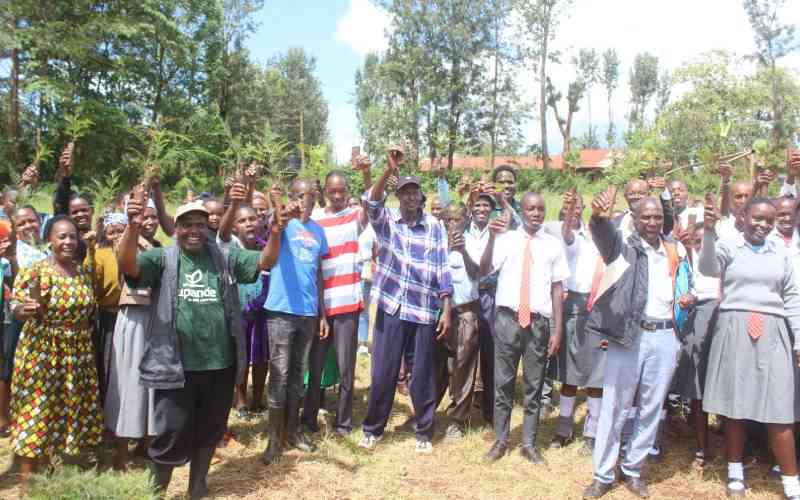 Kenya turns to farmers and schools to drive tree planting campaign