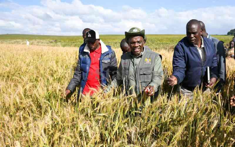 More Kenyans shun agriculture ...