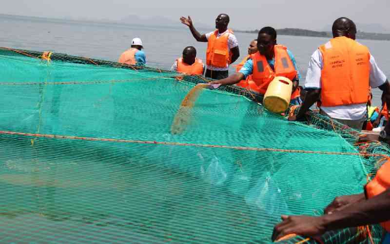 Women venture in fish cage far...