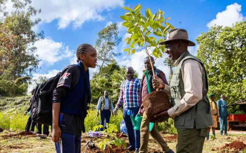 Ruto promises billions of seedlings as Kenya marks Mazingira Day