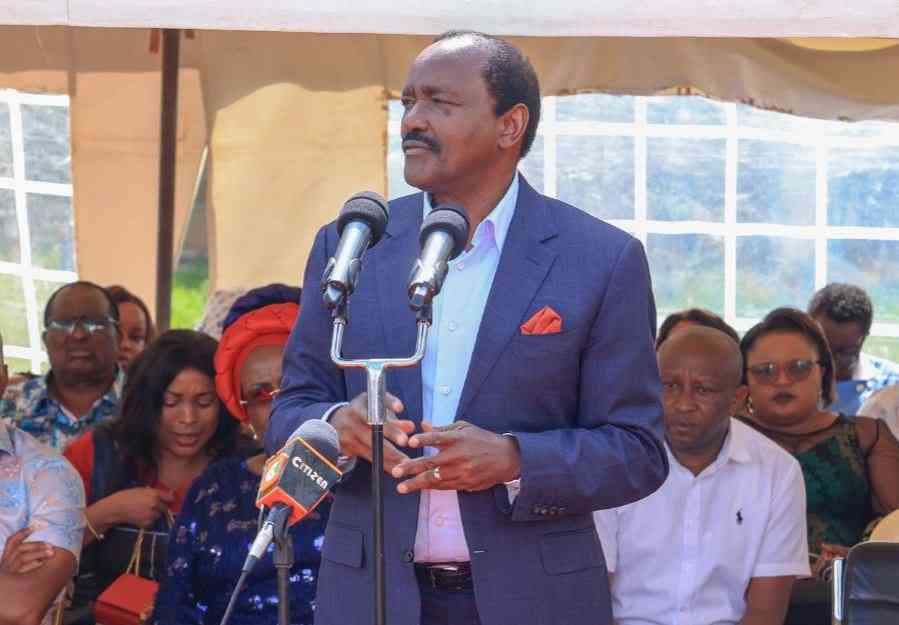 Kalonzo says opposition drafting petition to challenge Mbeere North, Malava results