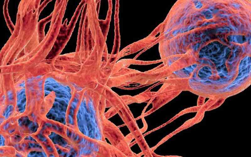 Your cell can't die, can't stop dividing; it's a cancer