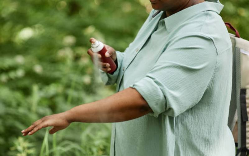 Study: A herb that is giving mosquito repellents a run for their Money