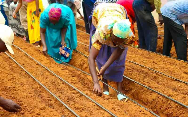 How Vihiga is shifting to climate-smart farming