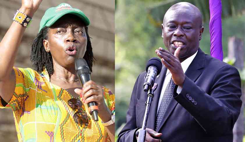 Fight for the soul of Mt Kenya takes a new twist