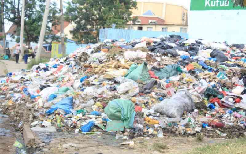 Court suspends Nairobi waste management deal, orders clearance of Umoja garbage