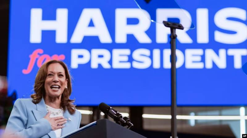 US Democrats start voting to nominate Harris as presidential candidate