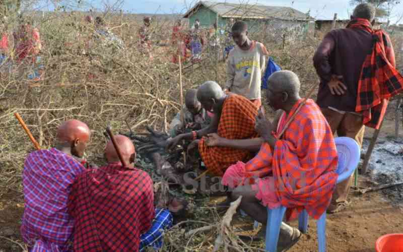 Why Maasais eat lots of red meat, but hardly suffer gout