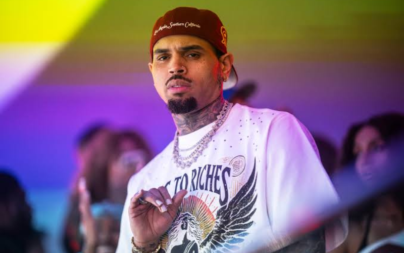 Chris Brown ordered to pay Sh1.68bn after dog mauled housekeeper
