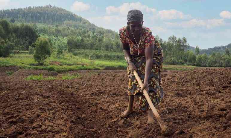 Kenya's elders continue working since the system has failed them