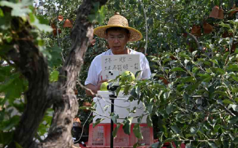China's 'new farmers' learn to live stream in rural revitalisation