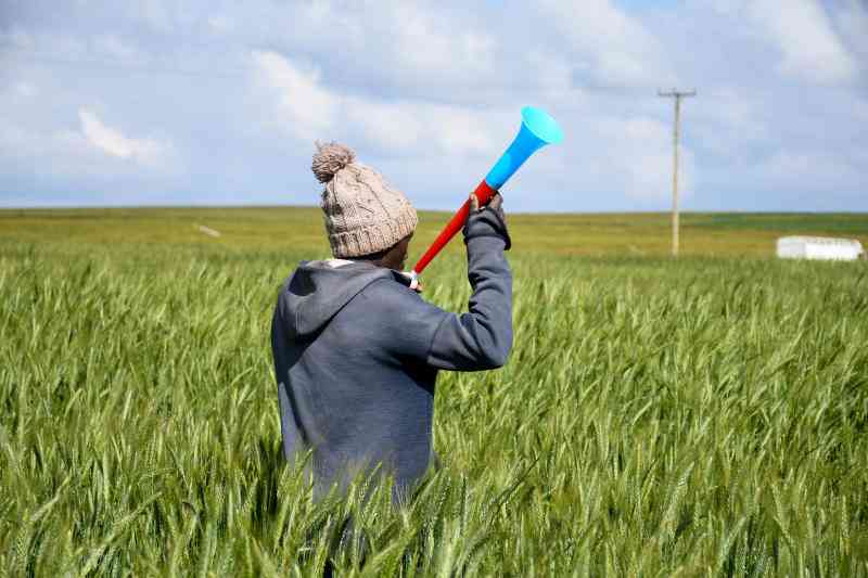 Quelea bird invasion costs wheat farmers Sh2m daily