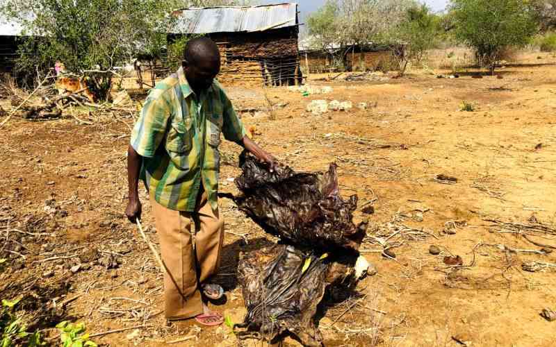 Severe drought leaves 700,000 at risk on Kenya's Coast