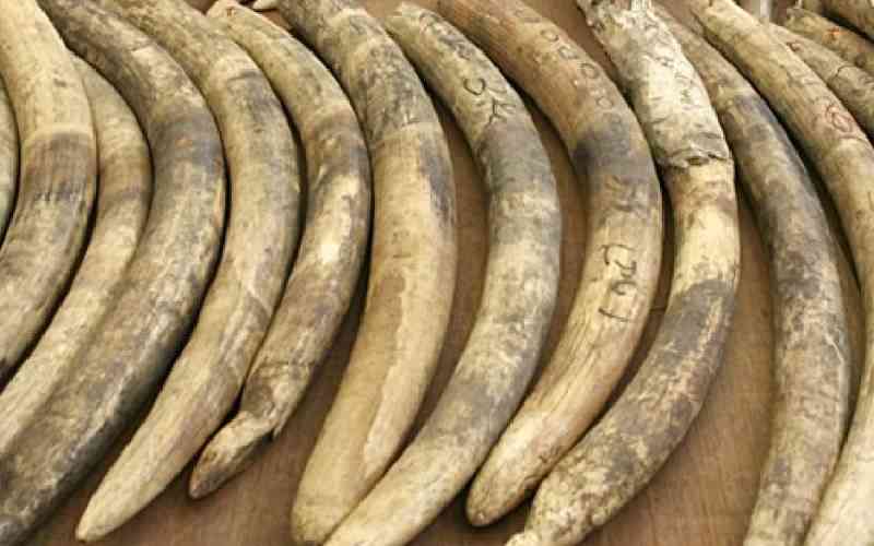 Animal trafficking reaches record high in 2025: Interpol