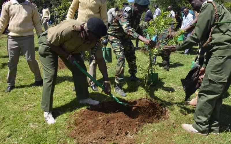 To increase tree cover, government must match words with actions