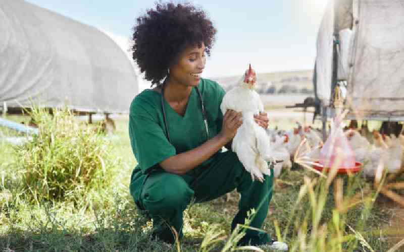 How to navigate challenges, succeed in agrovet business