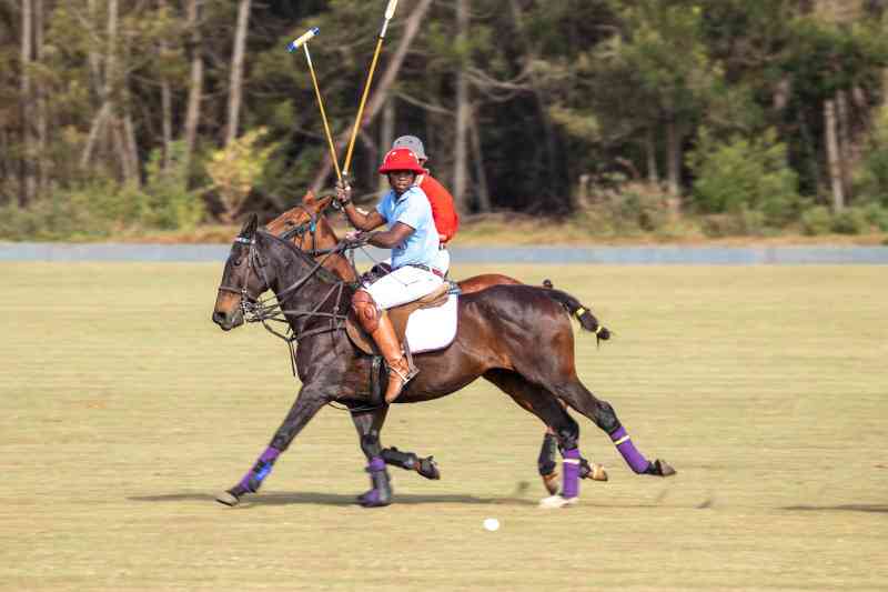 Polo: Shaw steers Dudutec to victory against Sanlam