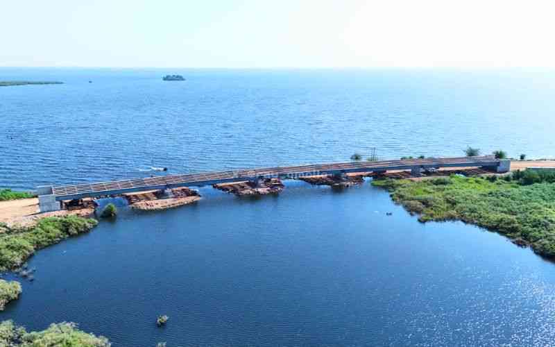 Revival and completion of Dhoghoye Bridge will change lives