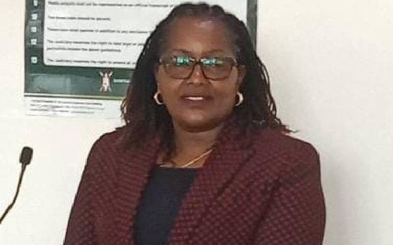 County Attorney was not involved in NMS takeover of city, court told