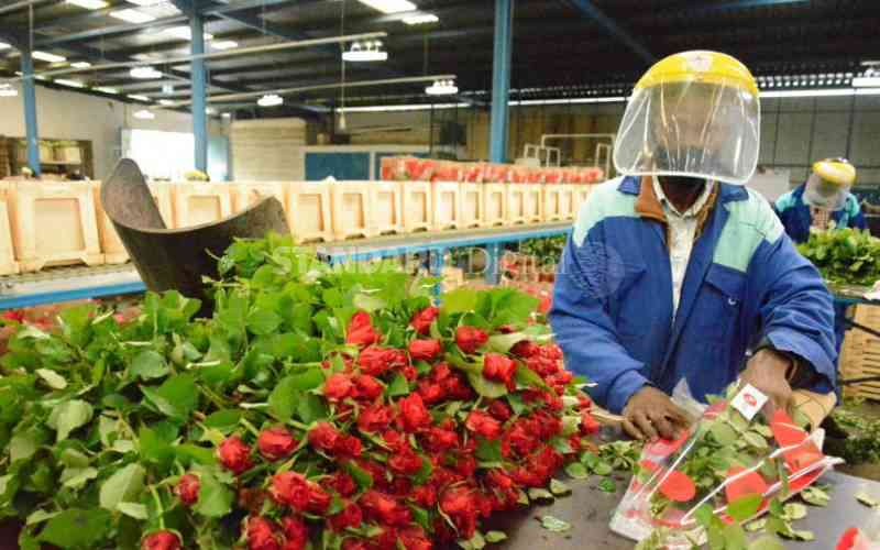 Stakeholders seek govt intervention to shield flower industry from shocks