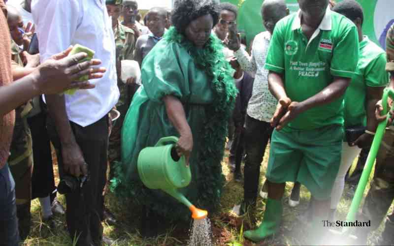 Tree planting project starts to counteract climate change adversity