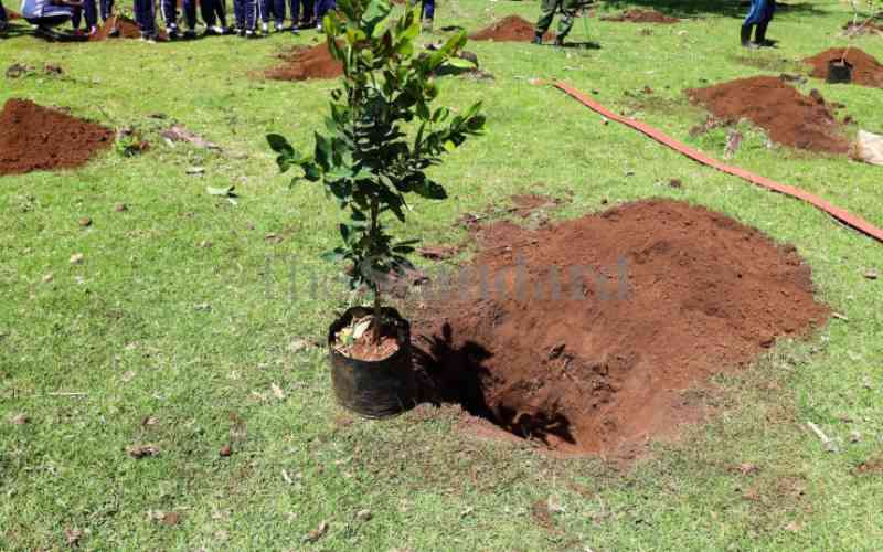 Government to plant 15 billion trees by 2032