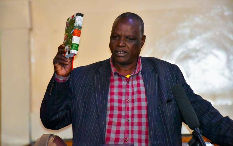 'I don't care'! Victim of Sh1 billion Finland scandal erupts in court