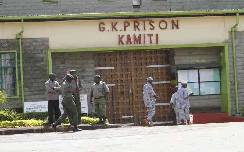 Allow us to make love, prisoners ask govt