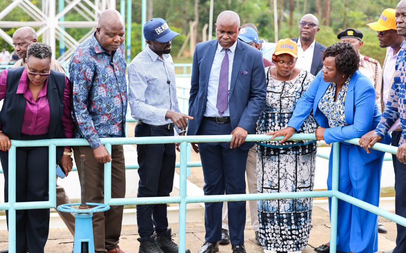 VIDEO: CS Eric Mugaa lectures Gladys Wanga, contractor over poor Oyugis Water works