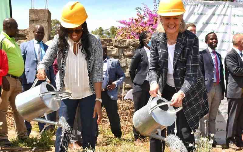 US pledges Sh3 billion to support Kenya's pyrethrum sector revival