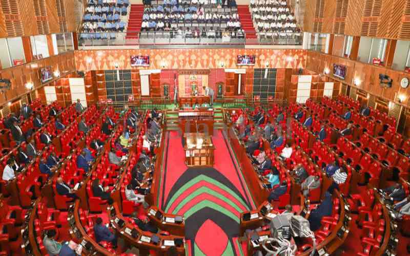 Envoy nominees struggle to convince MPs