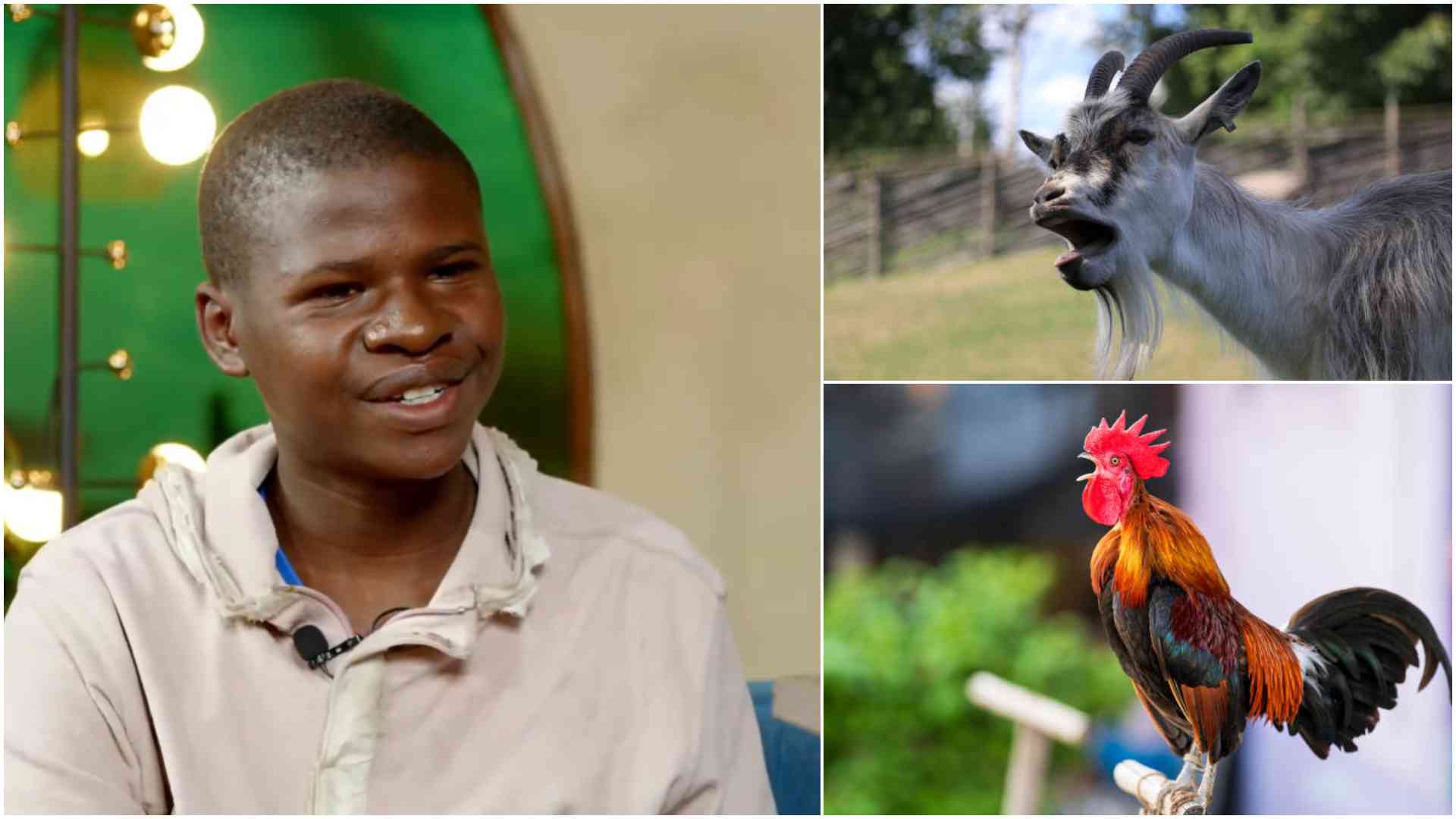 Viral Mombasa 'goat boy' says animal sounds were cry for help, not witchcraft