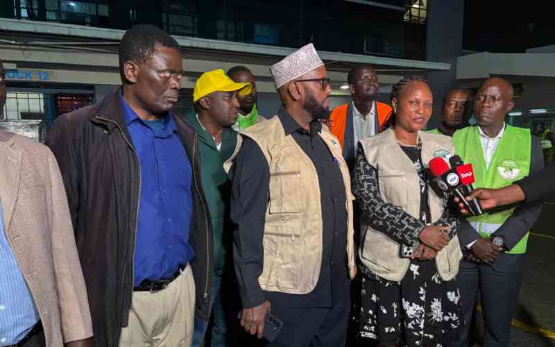 Distribution of ballot papers for mini polls starts