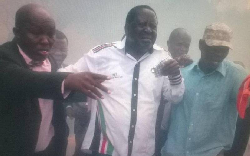 Enough blood has been shed; do not put us in harm's way, Raila