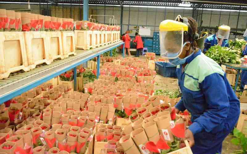 Flowers top horticultural exports as Kenya gears up for global expo