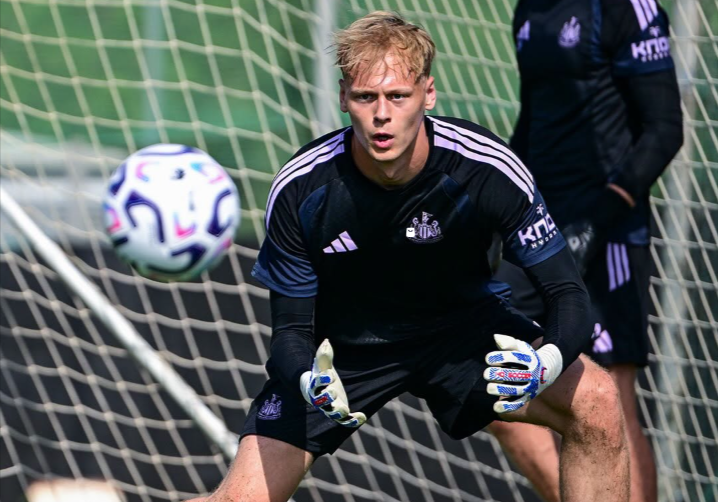 Newcastle sign goalkeeper Hornicek from Braga