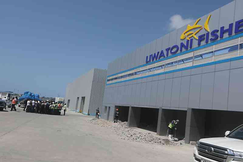 Kenya in fresh push to harness deep-sea fishing potential