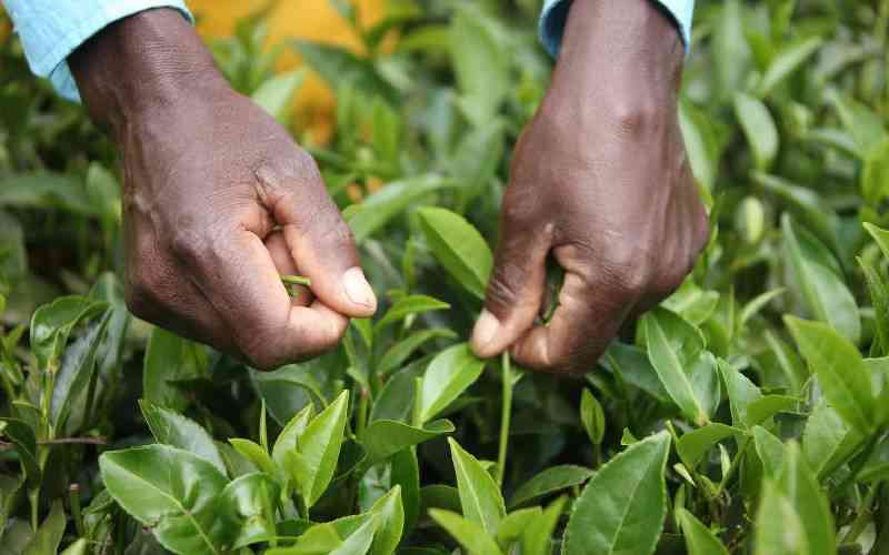 Study exposes violations against women workers