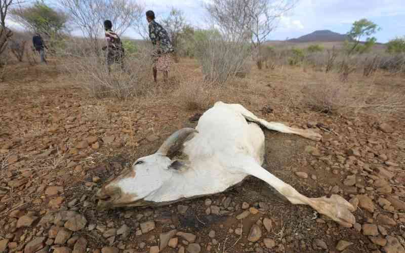 Drought, soaring food prices pushing millions into hunger