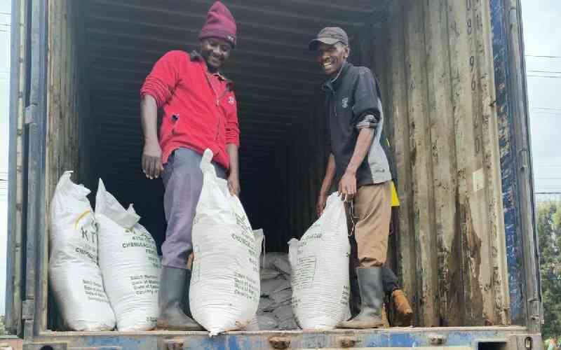 KTDA begins distribution of 99,000 tonnes of fertiliser to tea farmers